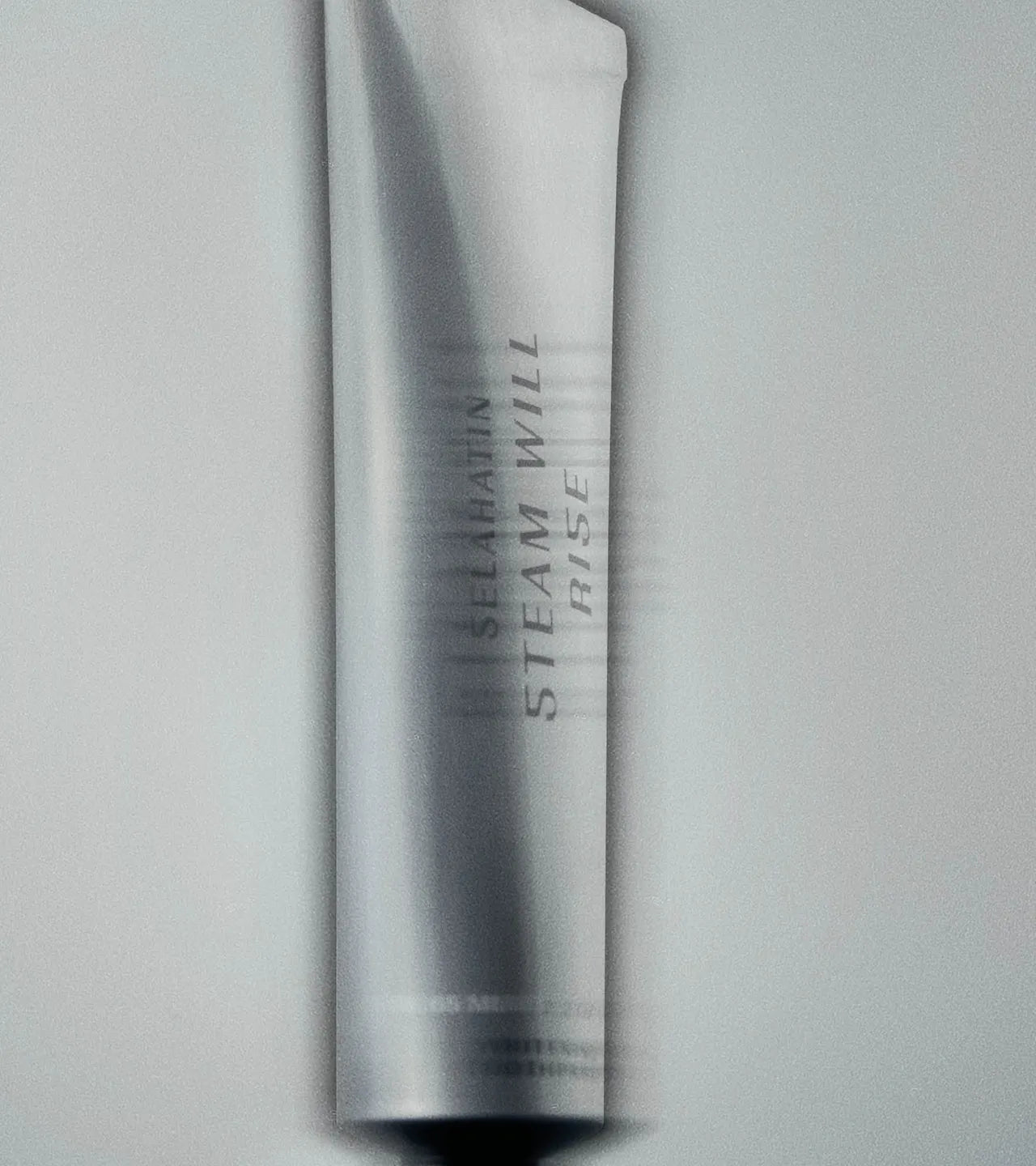 WHITENING TOOTHPASTE 65 ml STEAM WILL RISE