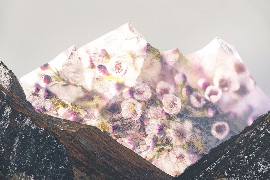 FLOWER MOUNTAIN EDP 50ML