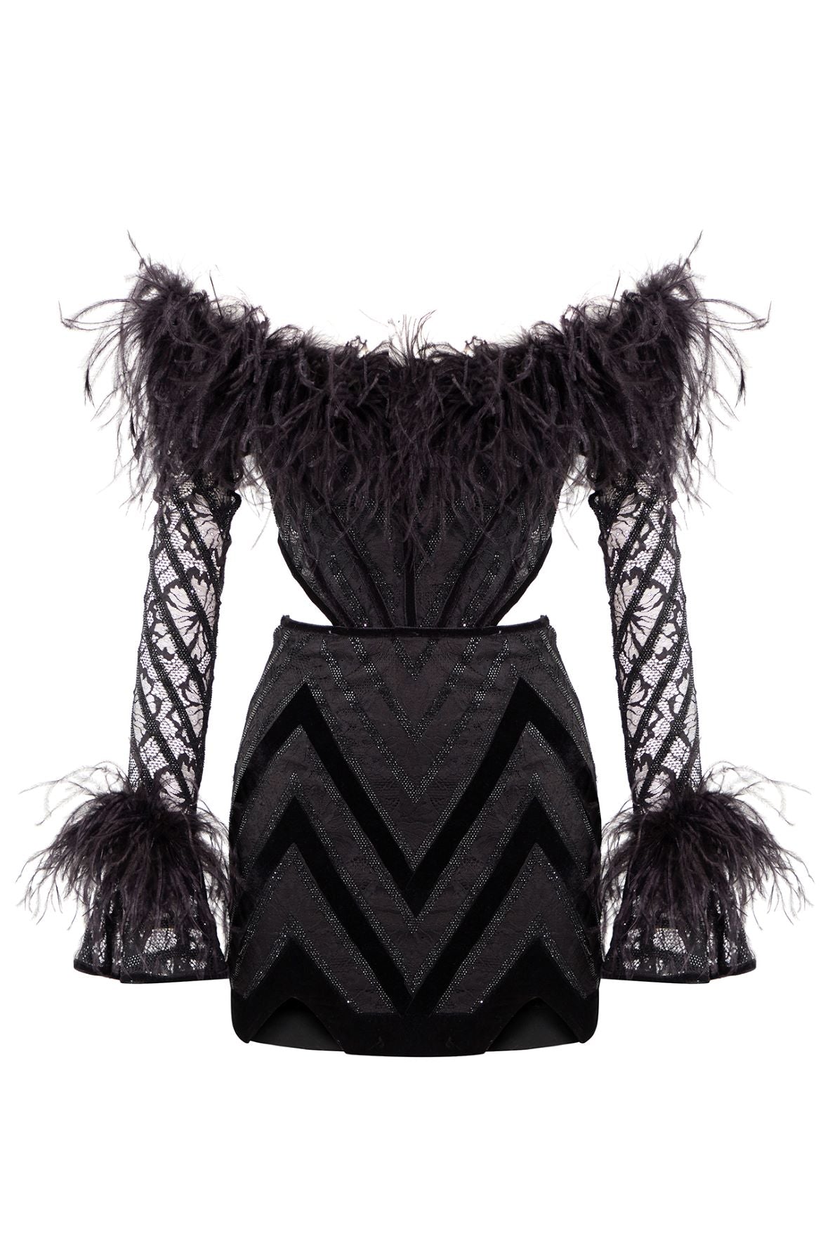CRYSTAL EMBELLISHED SILK VELVET LACE MINI DRESS WITH FEATHER DETAILS