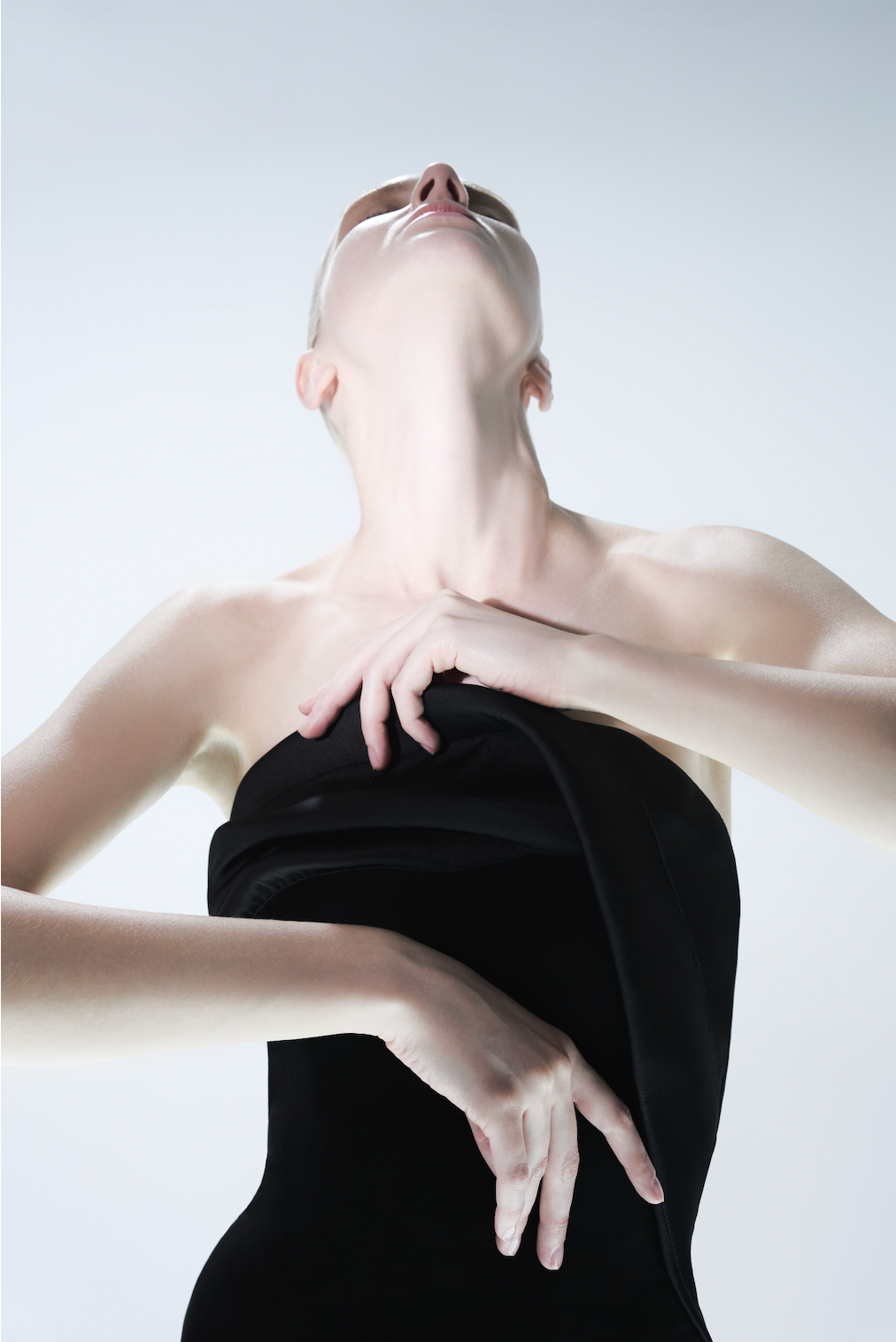 THE MERIDIAN TRUMPET GOWN